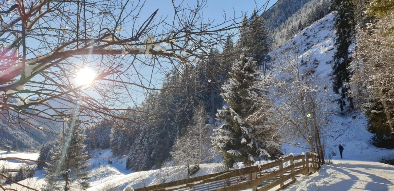 Apartment Jasmin Neustift im Stubaital Exteriör bild