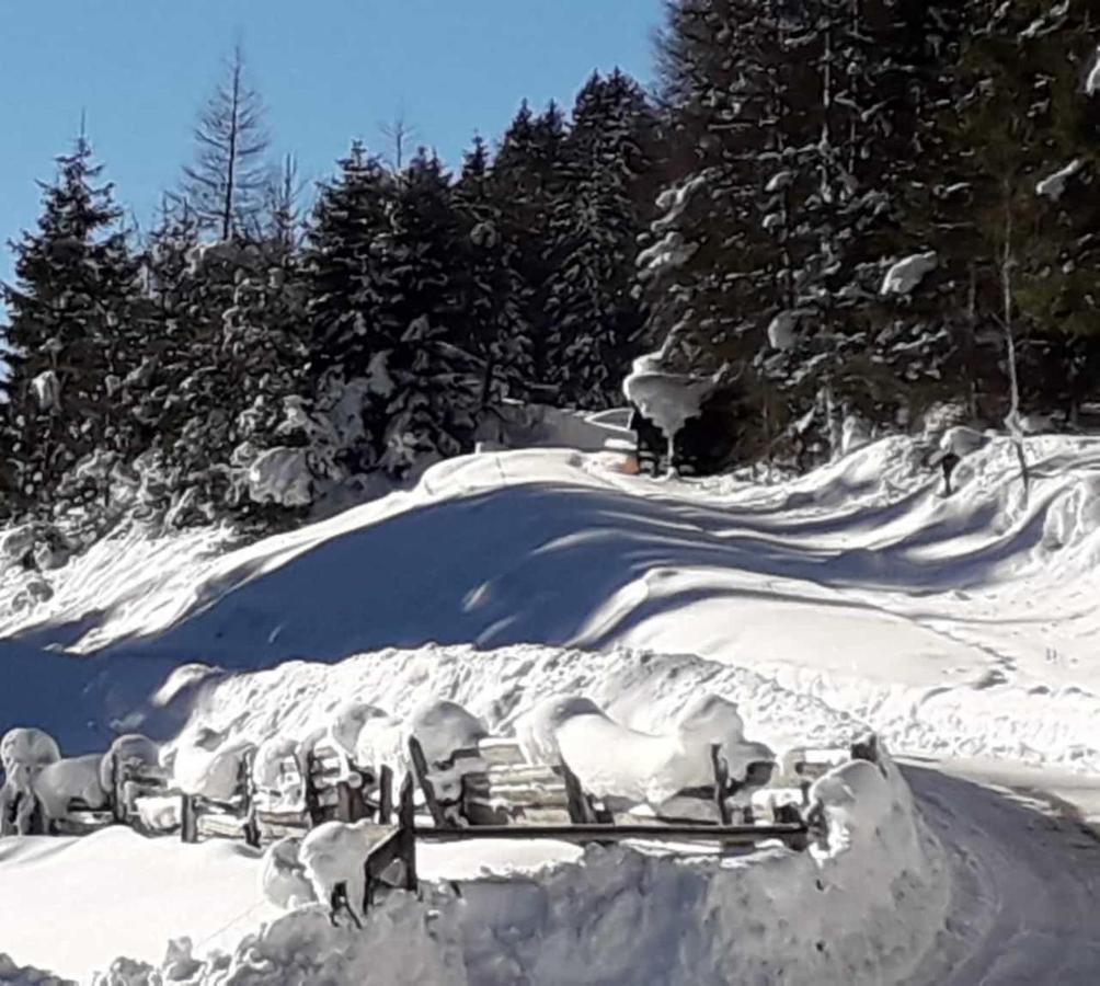 Apartment Jasmin Neustift im Stubaital Exteriör bild