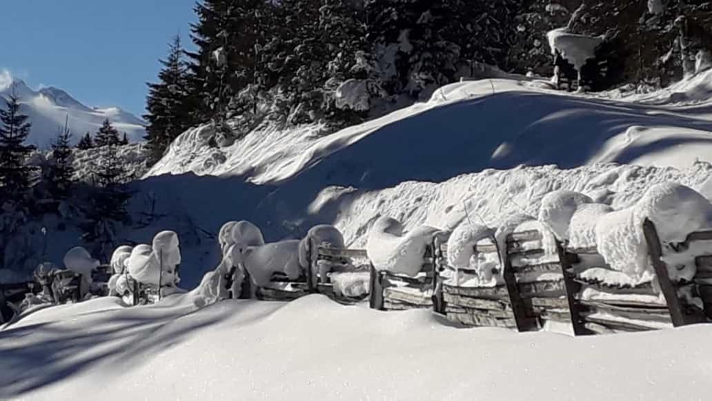 Apartment Jasmin Neustift im Stubaital Exteriör bild